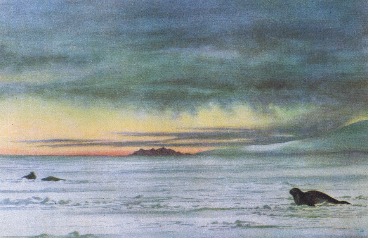 Olhando para o norte em McMurdo Sound, da British Adventure publicado por Collins, 1947 de Edward Adrian Wilson