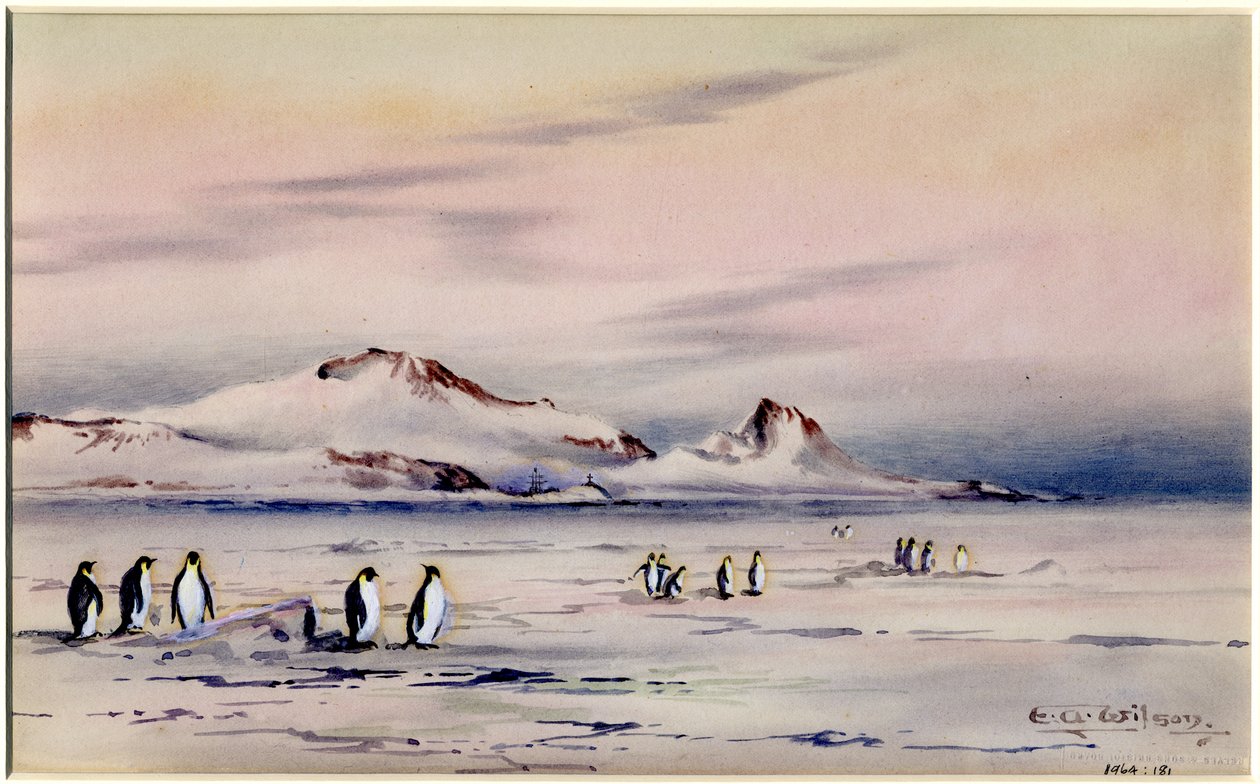 O Discovery Winter Quarters, c.1901-04 (wc no papel) de Edward Adrian Wilson