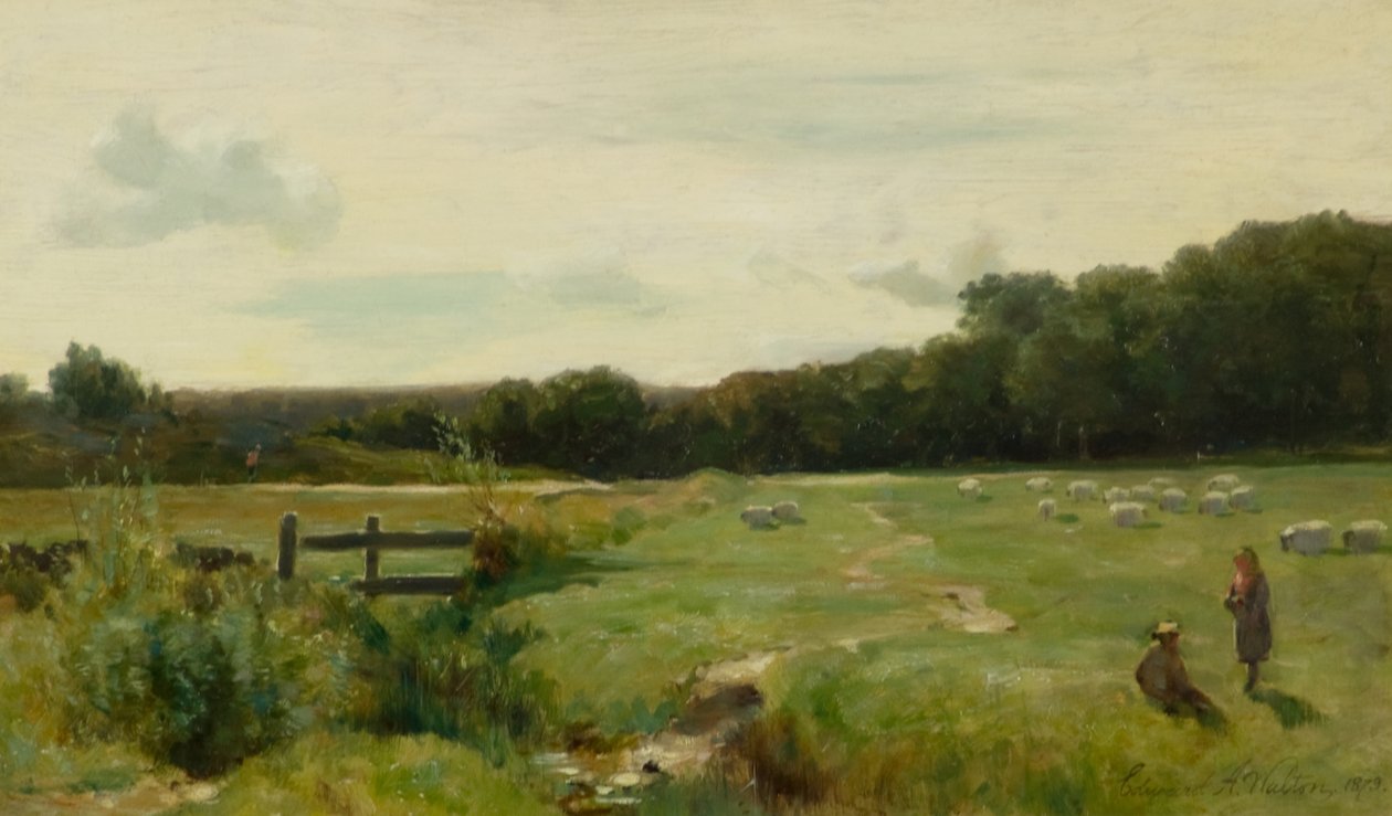 Brig OTurk de Edward Arthur Walton