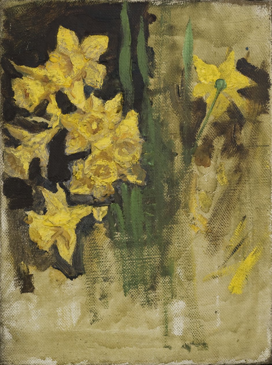 Daffodils (óleo sobre tela) de Edward Atkinson Hornel