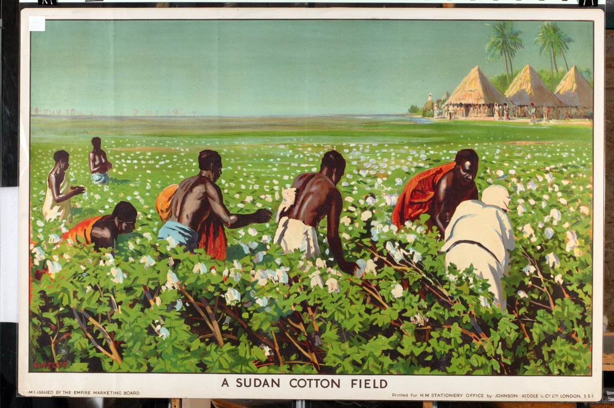Um campo de algodão do Sudão, da série "Empire Trade is Growing" (litografia a cores) de Edward Barnard Lintott
