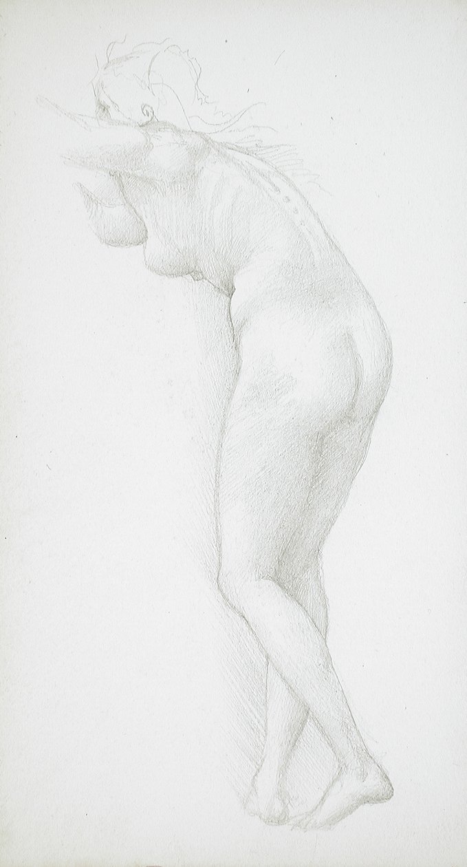 Nu feminino visto de costas de Edward Burne-Jones