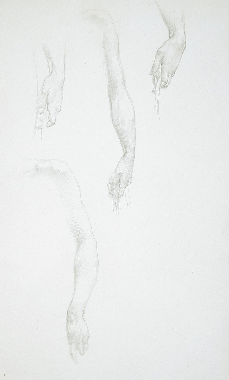 Estudos de braços e mãos (anverso); Estudo de um torso feminino (verso) de Edward Burne-Jones