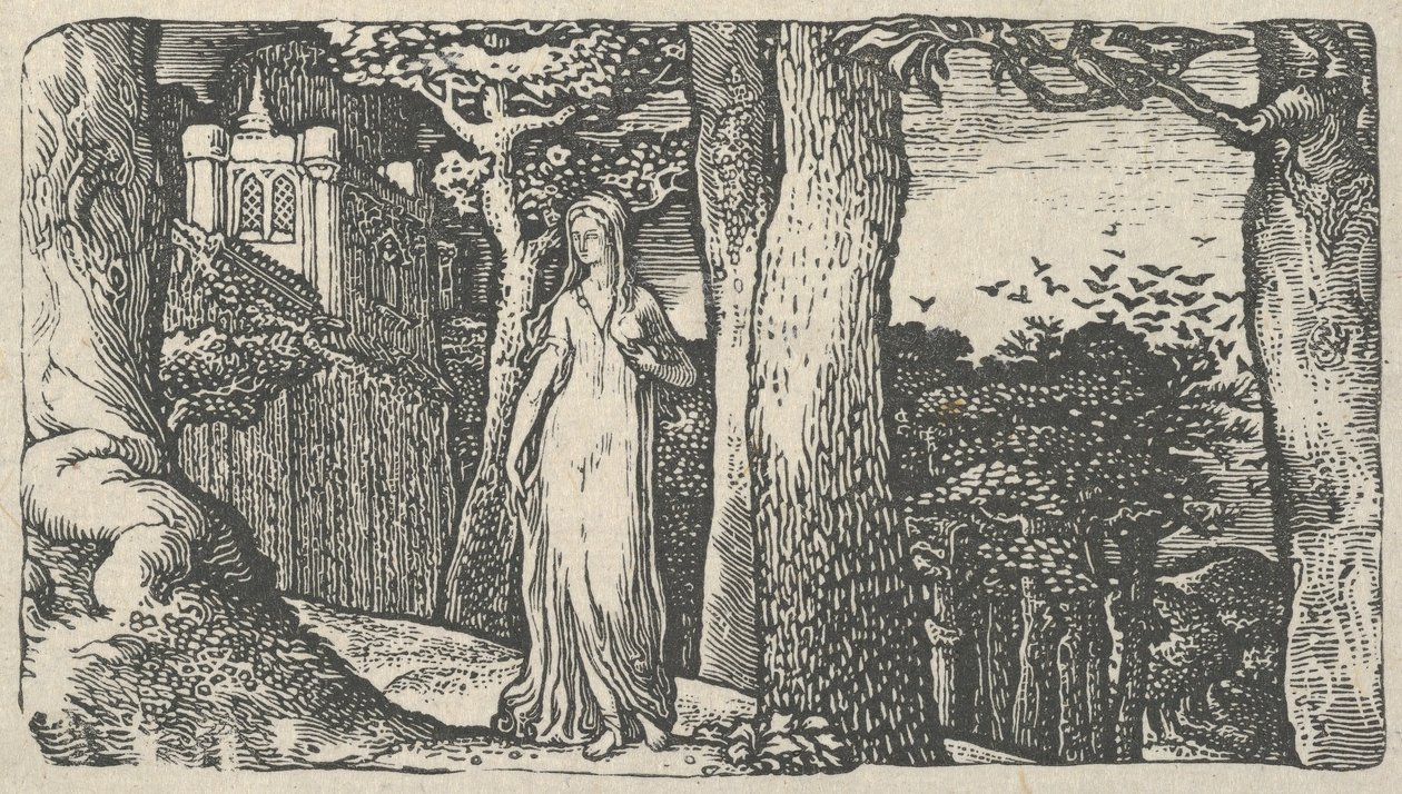 Dama das Gralhas, 1829. de Edward Calvert