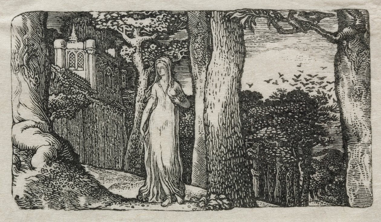 A Dama e as Gralhas de Edward Calvert