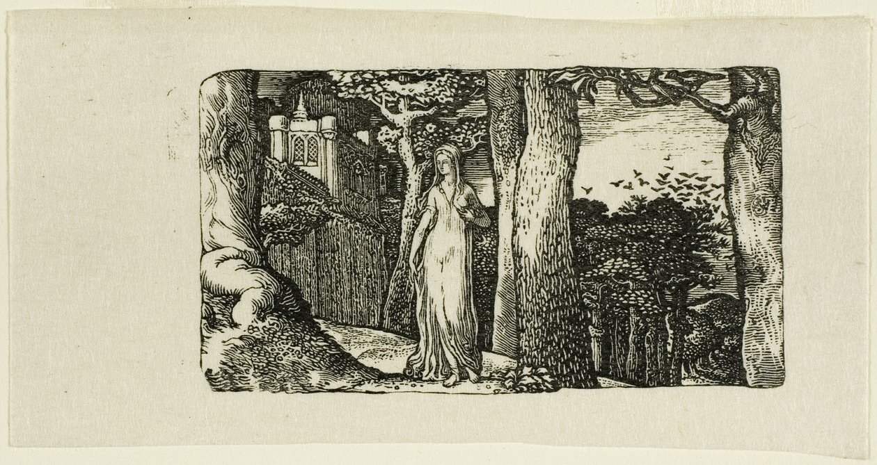 A Dama e as Gralhas de Edward Calvert