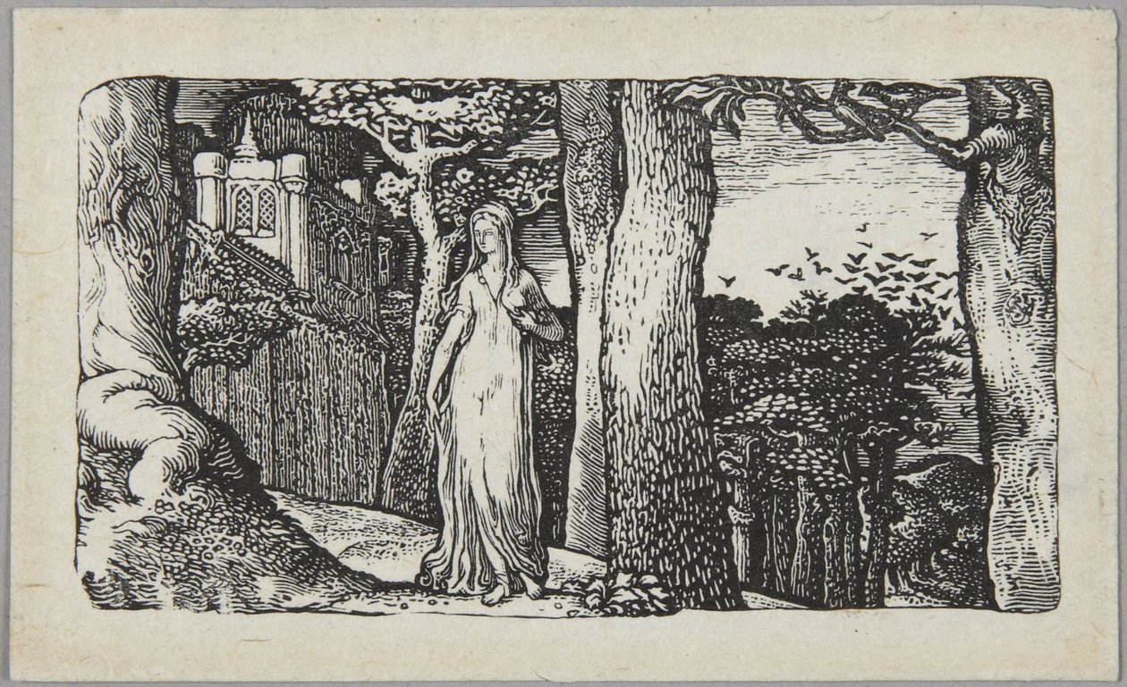 A dama com as gralhas de Edward Calvert