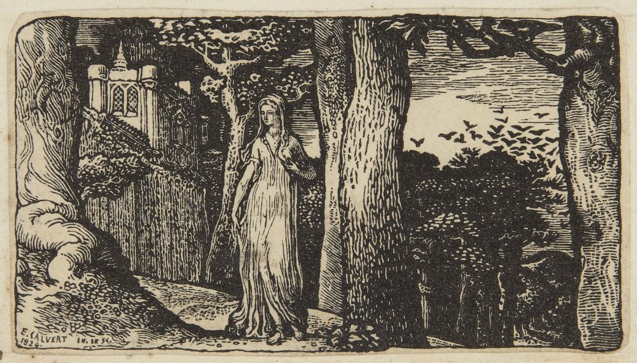 A dama com as gralhas de Edward Calvert
