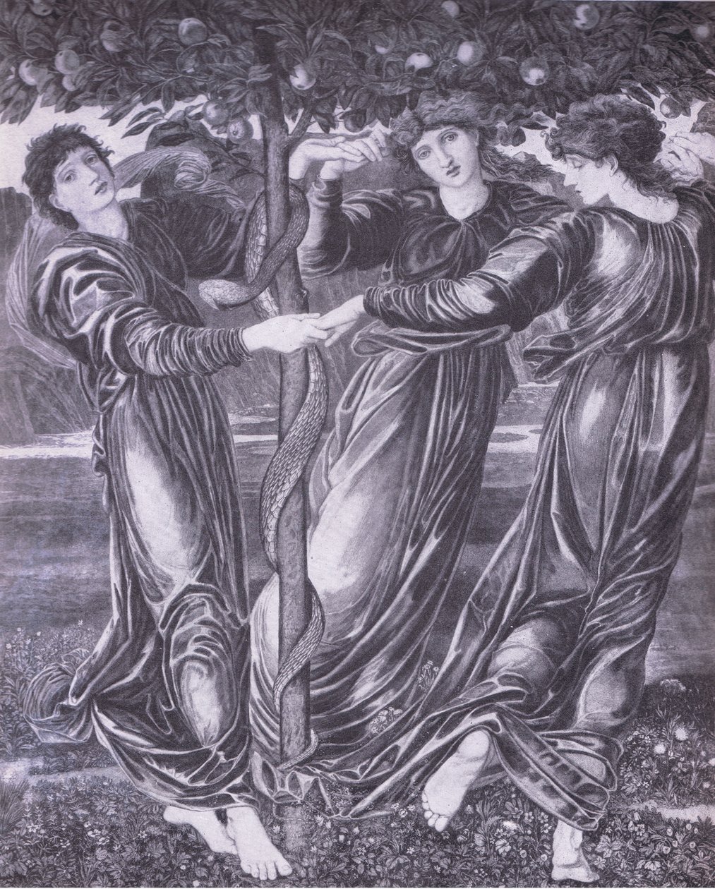 O jardim de Hespirides, Bibbys Annual de Edward Coley (after) Burne Jones