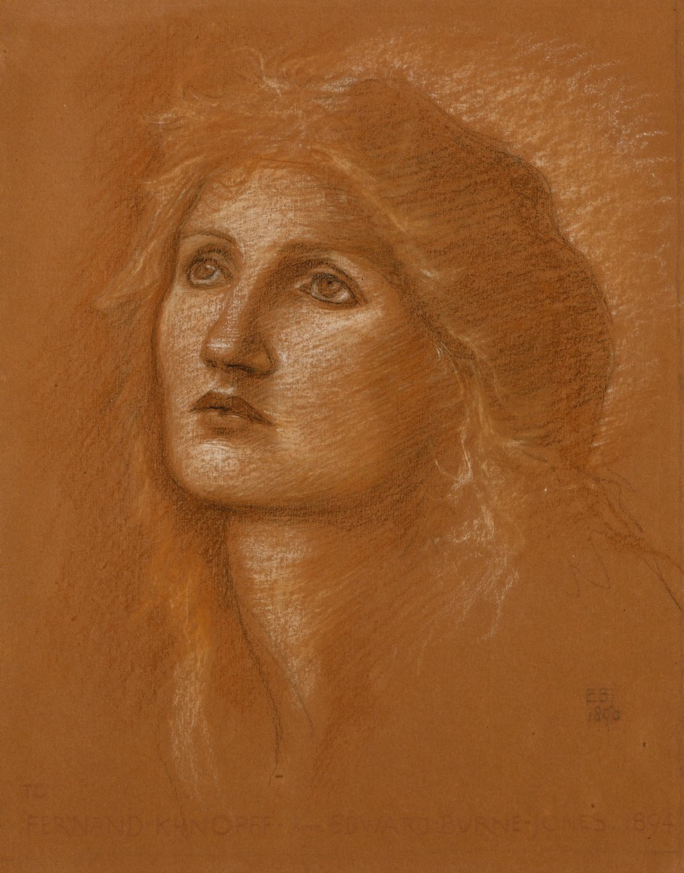 Cabeça de uma mulher, 1890 de Edward Burne Jones