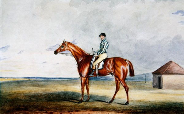 Lord Jersey