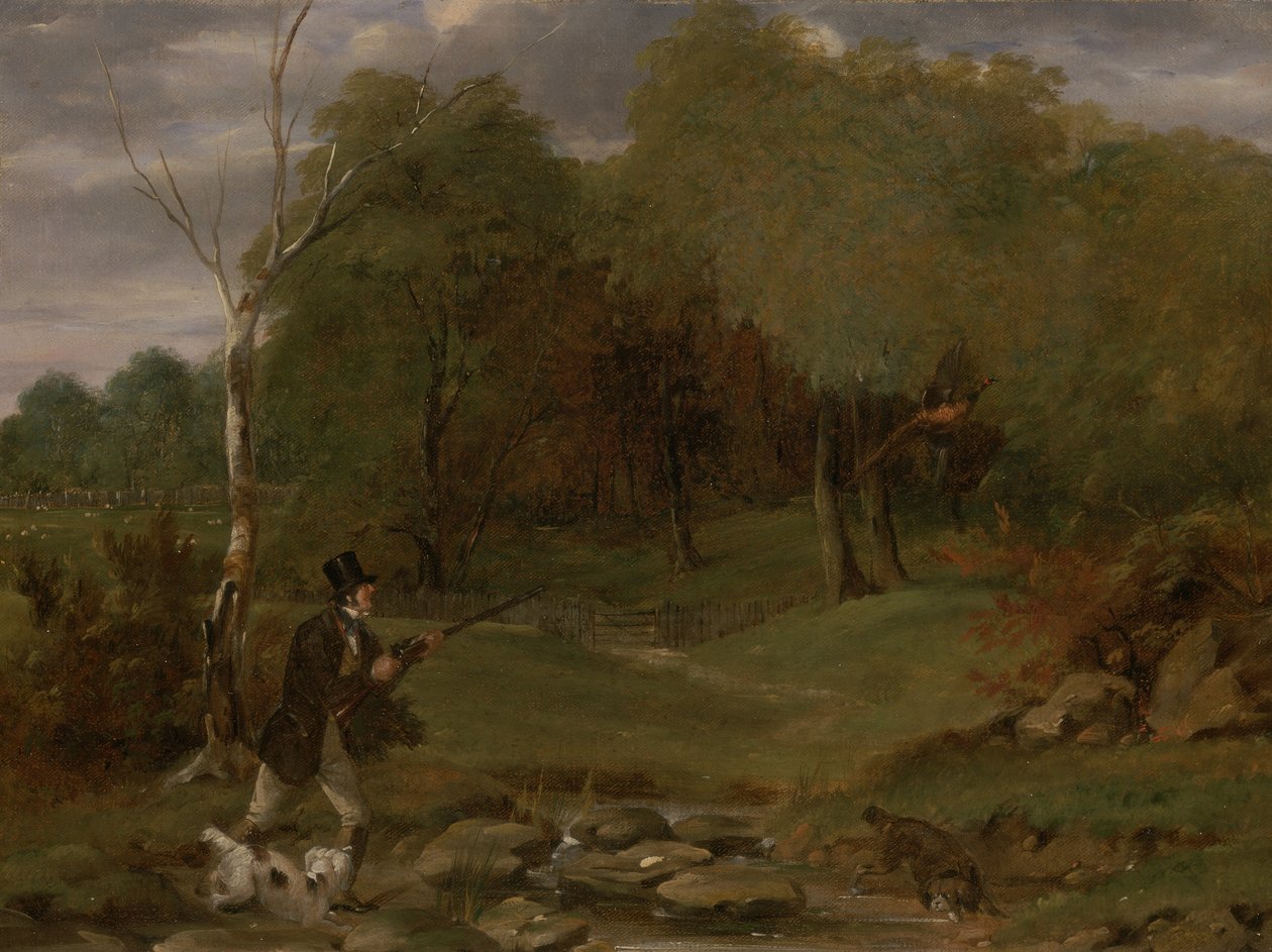 Tiro de faisão (óleo sobre placa) de Edward Duncan