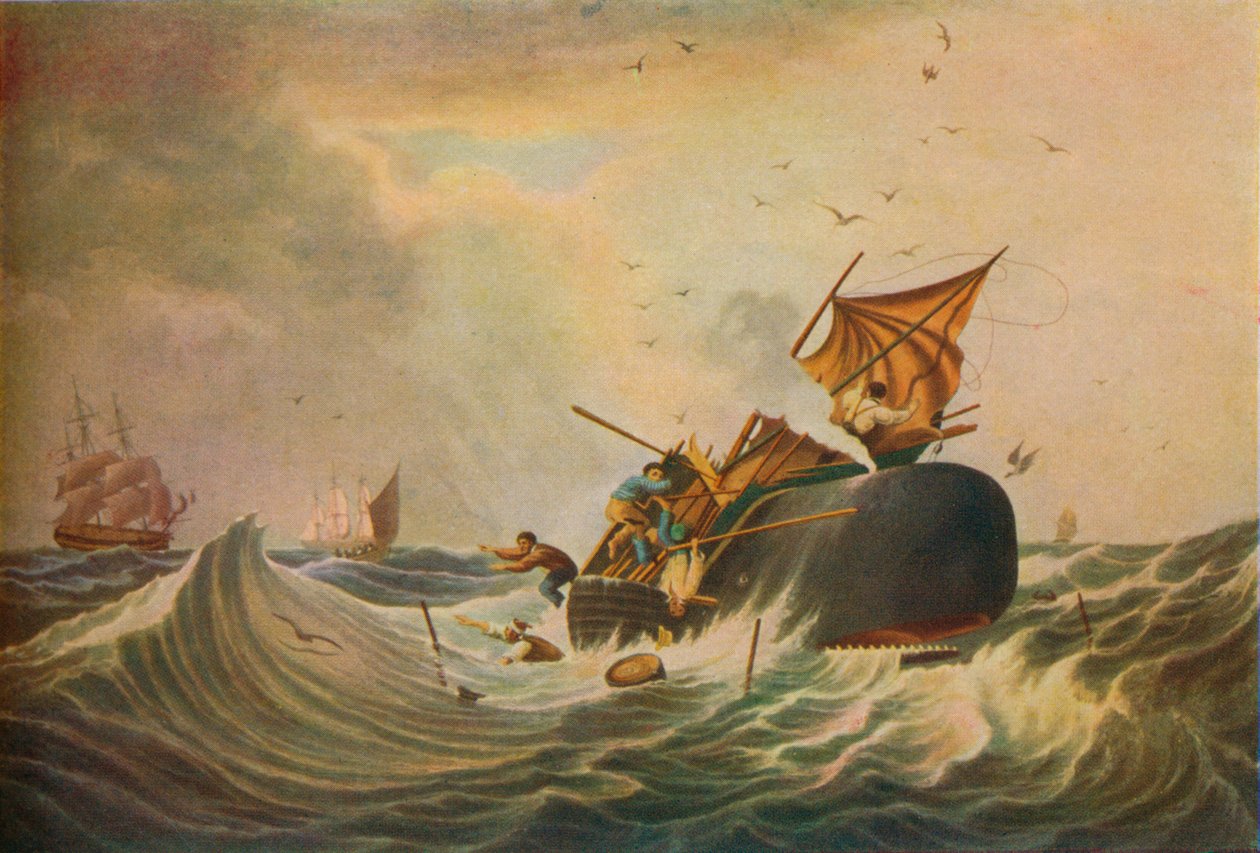 Pesca da baleia do mar sul, 1836 de Edward Duncan