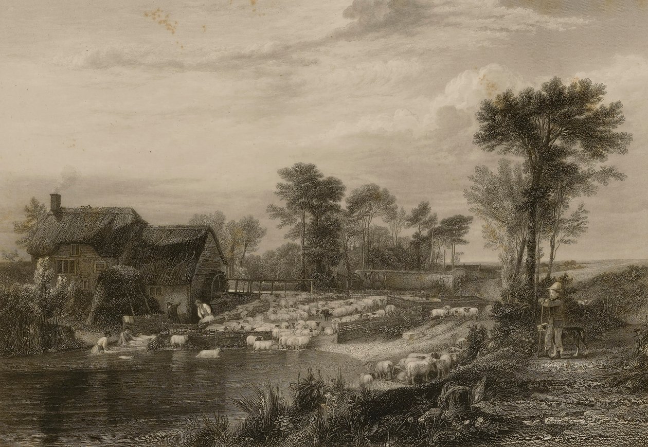 Lavagem de ovelhas de Edward Finden