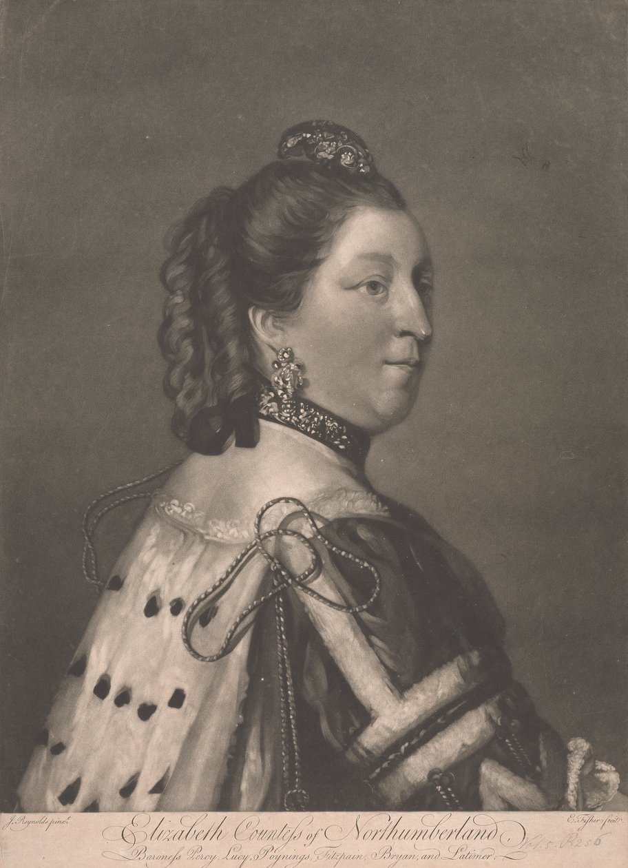 Elizabeth, Condessa de Northumberland de Edward Fisher