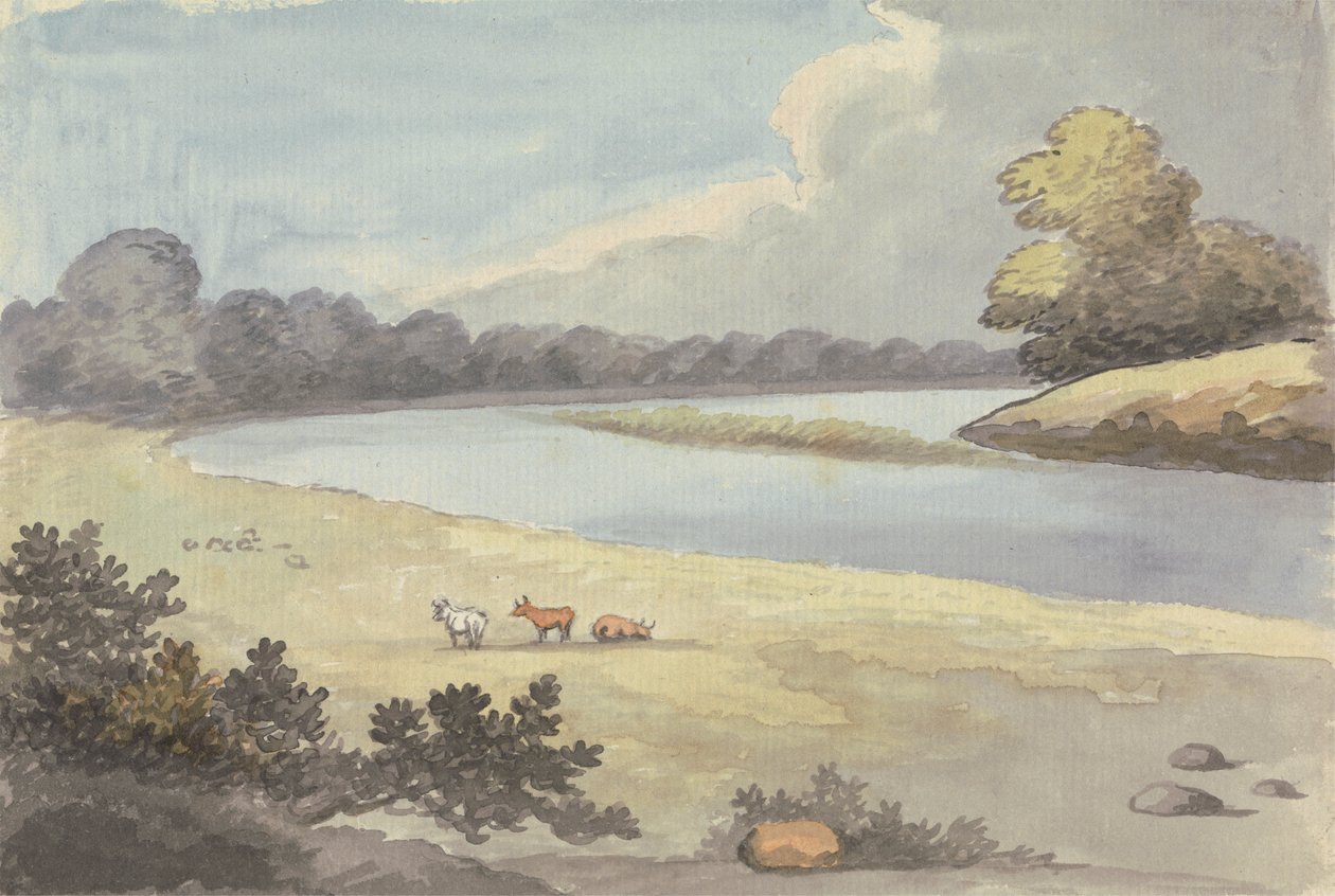 Richmond de Edward Francis Burney