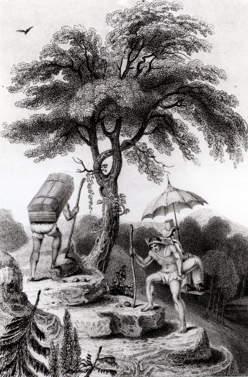 Vista da passagem de Quindio, ilustração de &39;Viaja pelas províncias interiores da Colômbia&39; por John P. Hamilton, publicado em 1827 de Edward Francis Finden