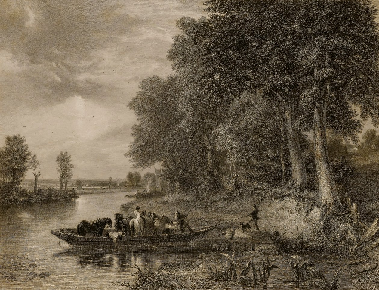 O Ferry de Edward Goodall