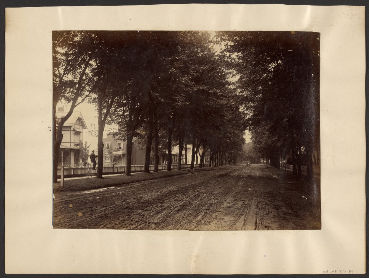 [Rua arborizada]. de Edward H. Hart