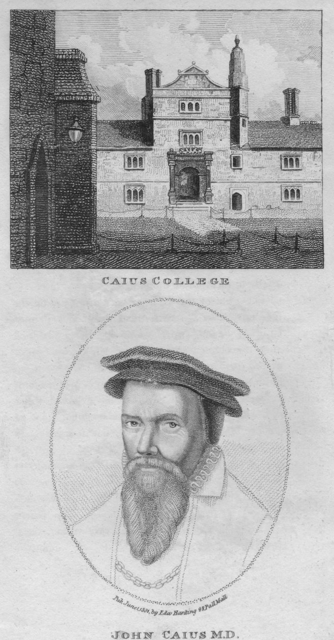 Faculdade de Caius, John Caius MD, 1801. de Edward Harding