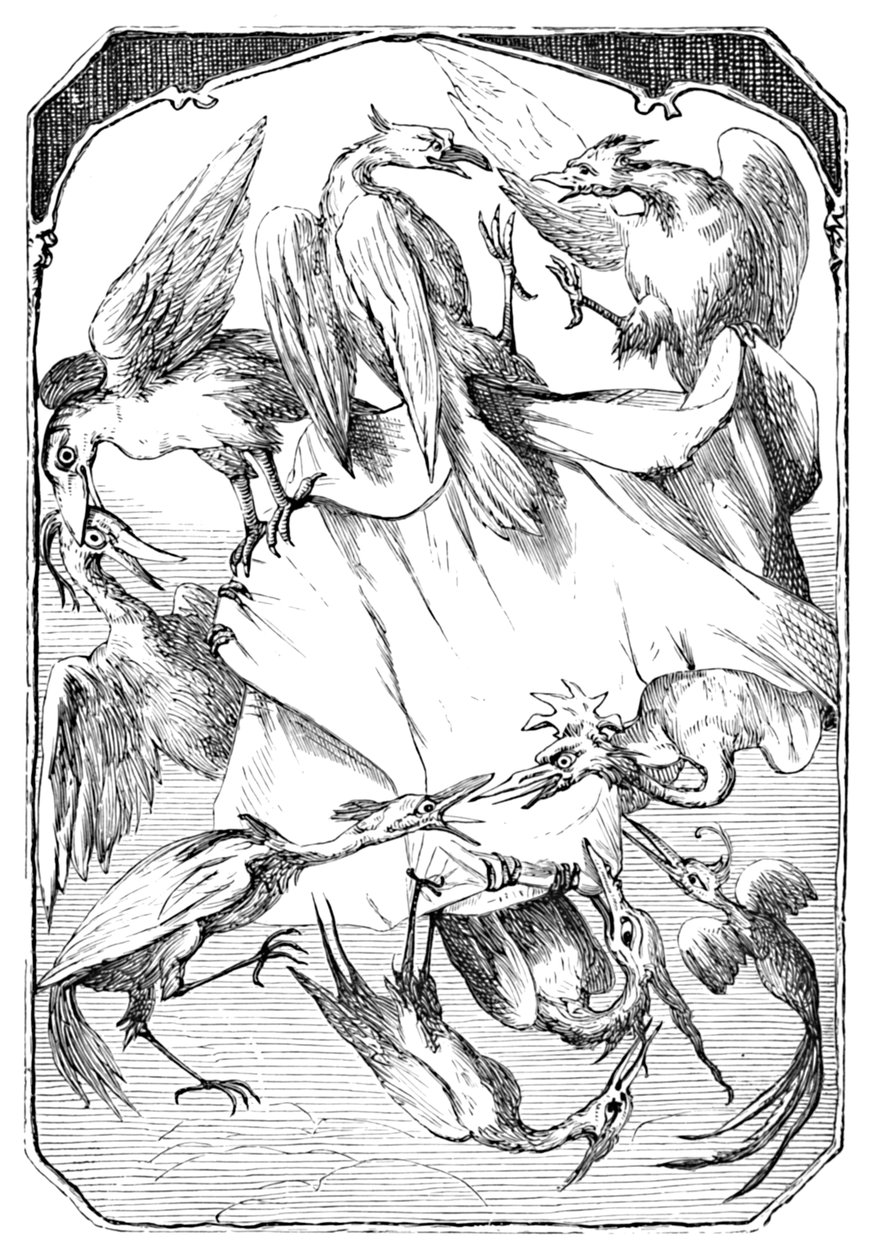 Os repolhos de burro, 1901 de Edward Henry Wehnert