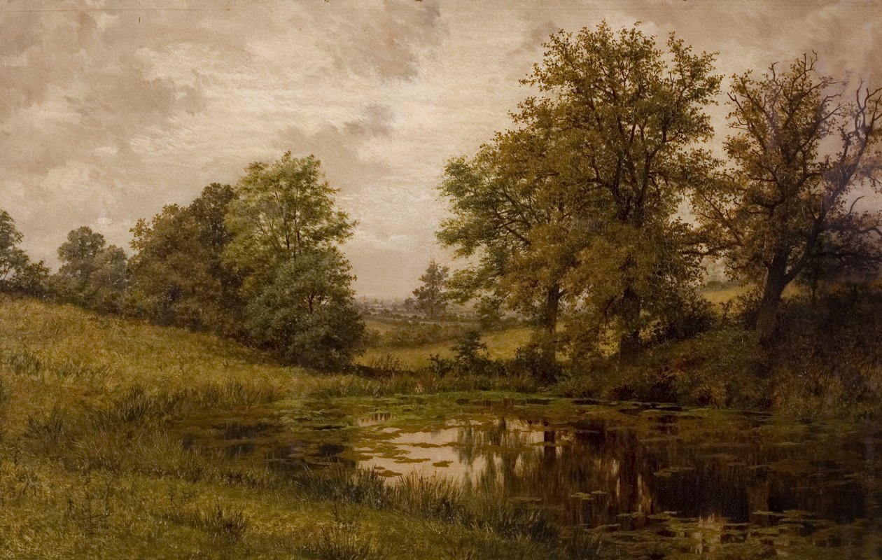 Lagoa perto da Fazenda Whittems, perto de Coundon, no final do século XIX e início do século XX de Edward Junior Rudge