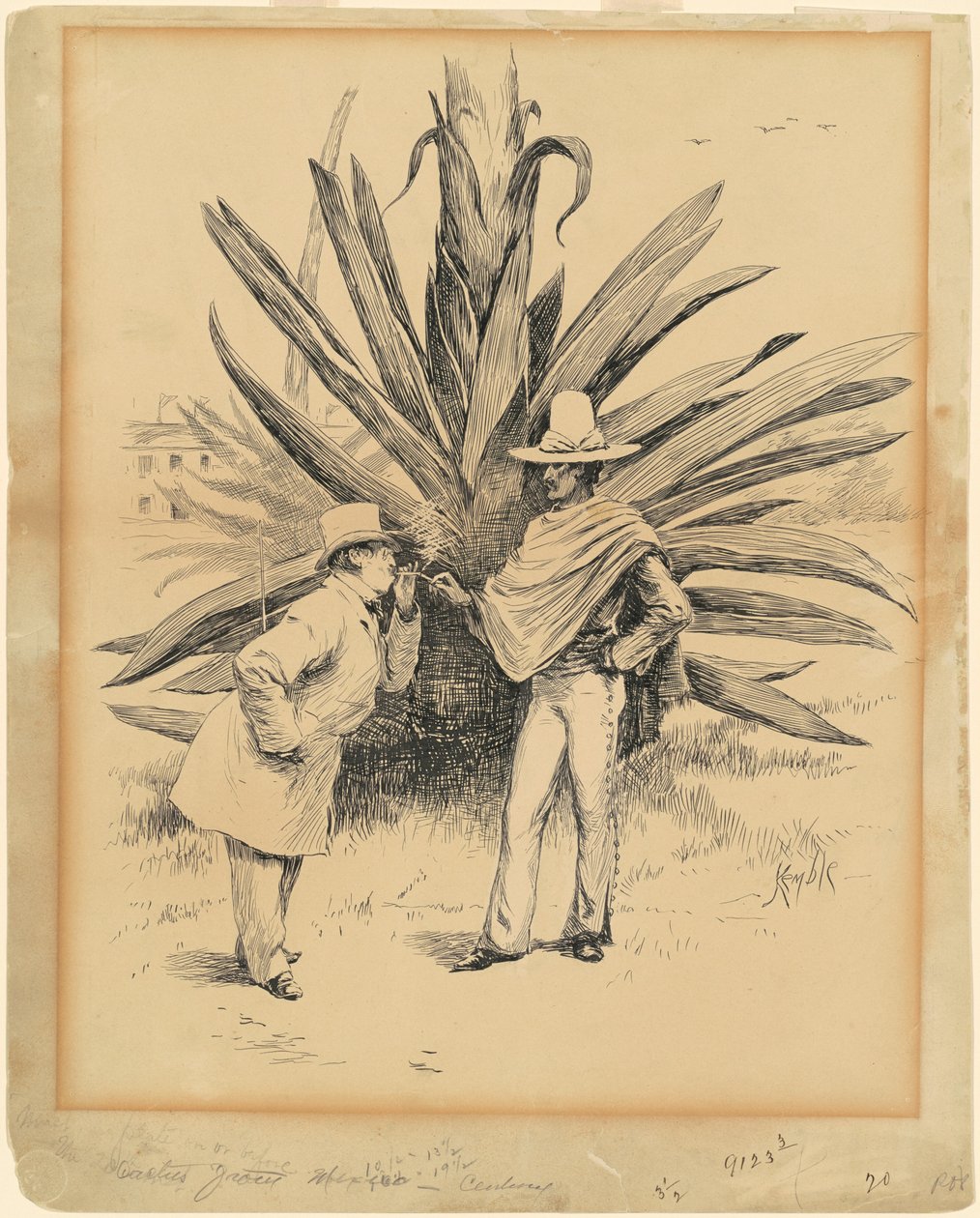 Cacto do México de Edward Kemble