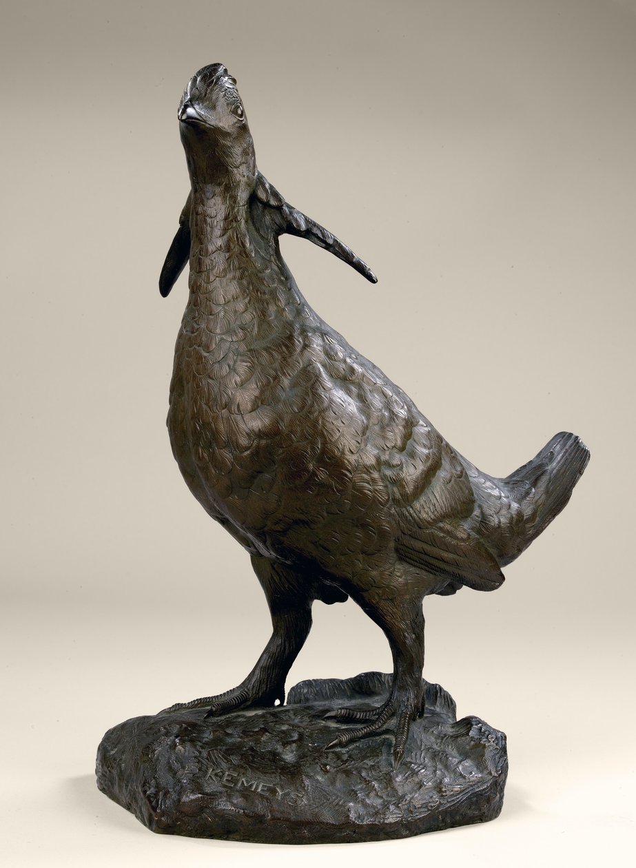 Galinha da pradaria de Edward Kemeys
