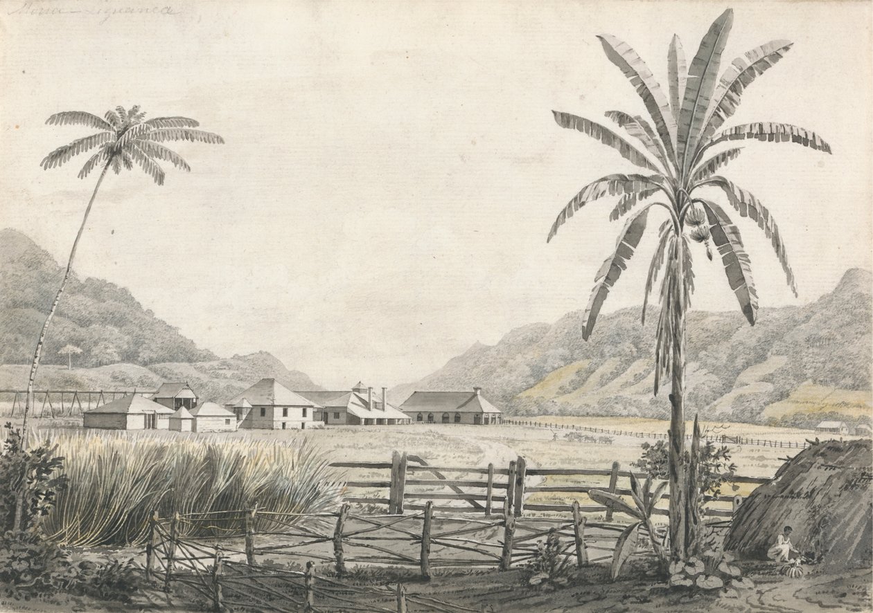 Uma Vista de Hall-head Sugar Plantation, Jamaica de Edward Kennion