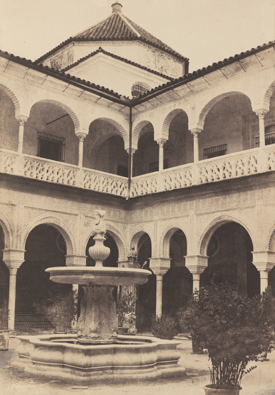 Floresta. de Edward King Tenison
