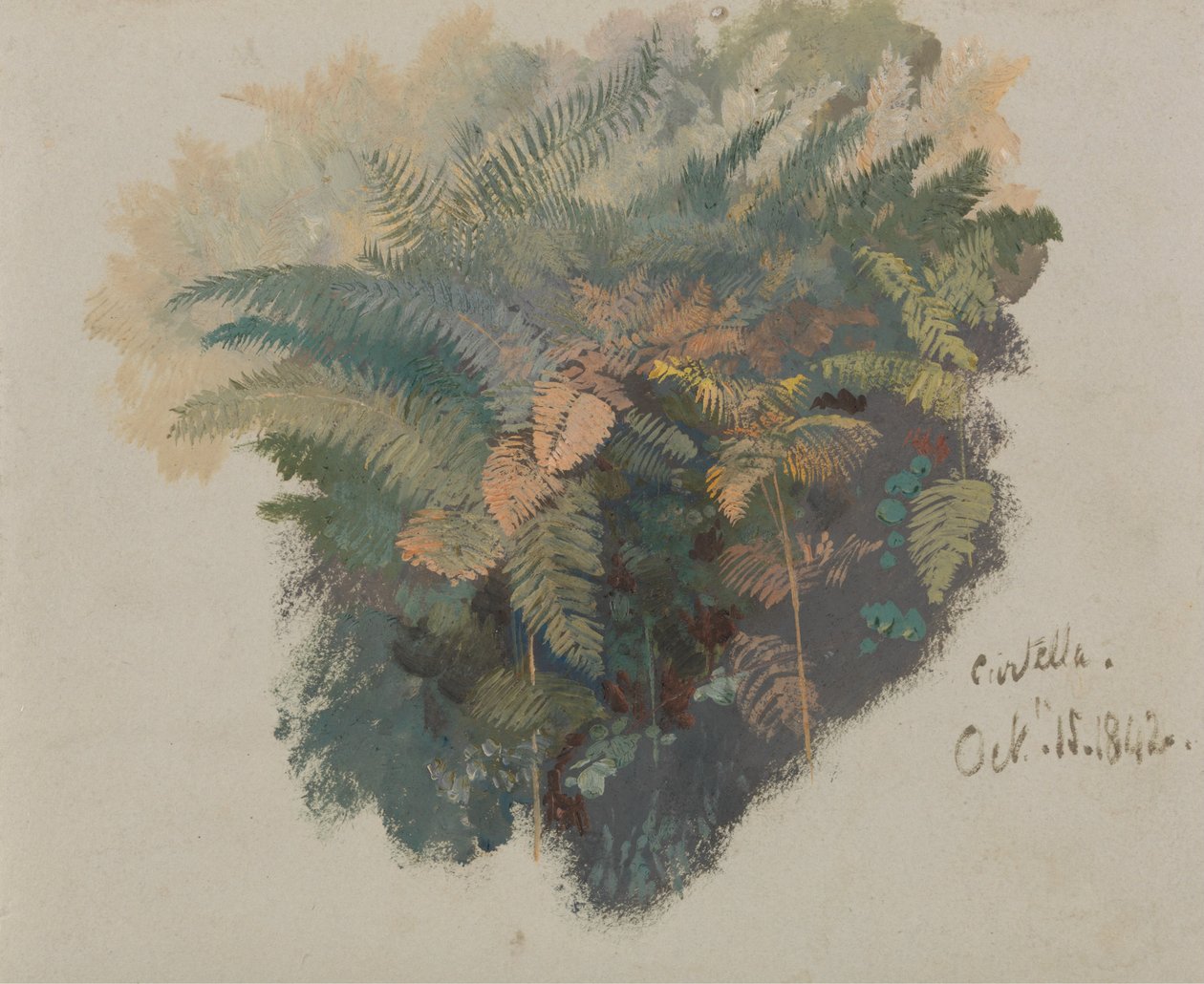 Um estudo sobre os fetos, Civitella de Edward Lear