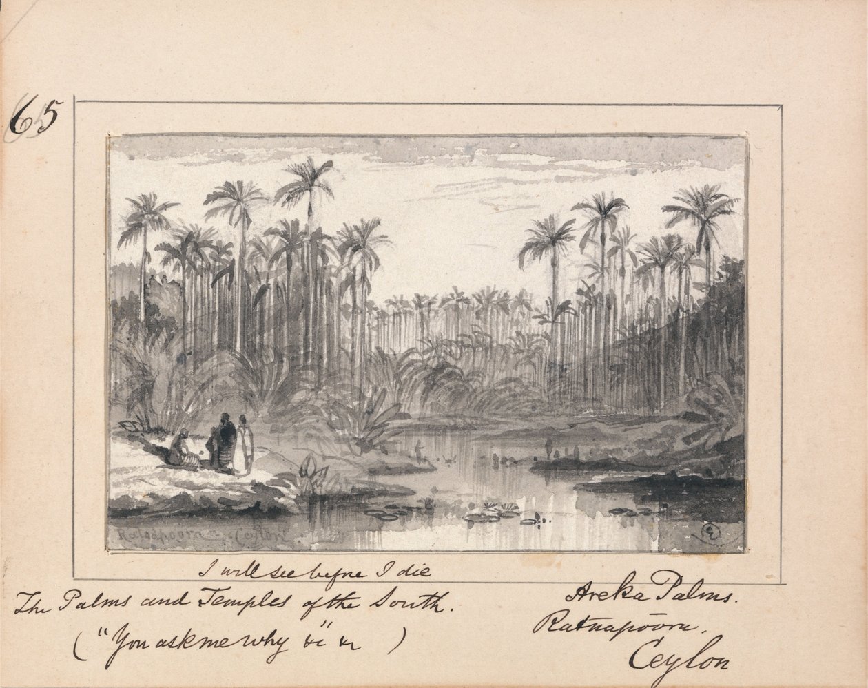 Areka Palms, Ratanapooru, Ceilão - "Verei antes de morrer As Palmas e Templos do Sul" de Edward Lear
