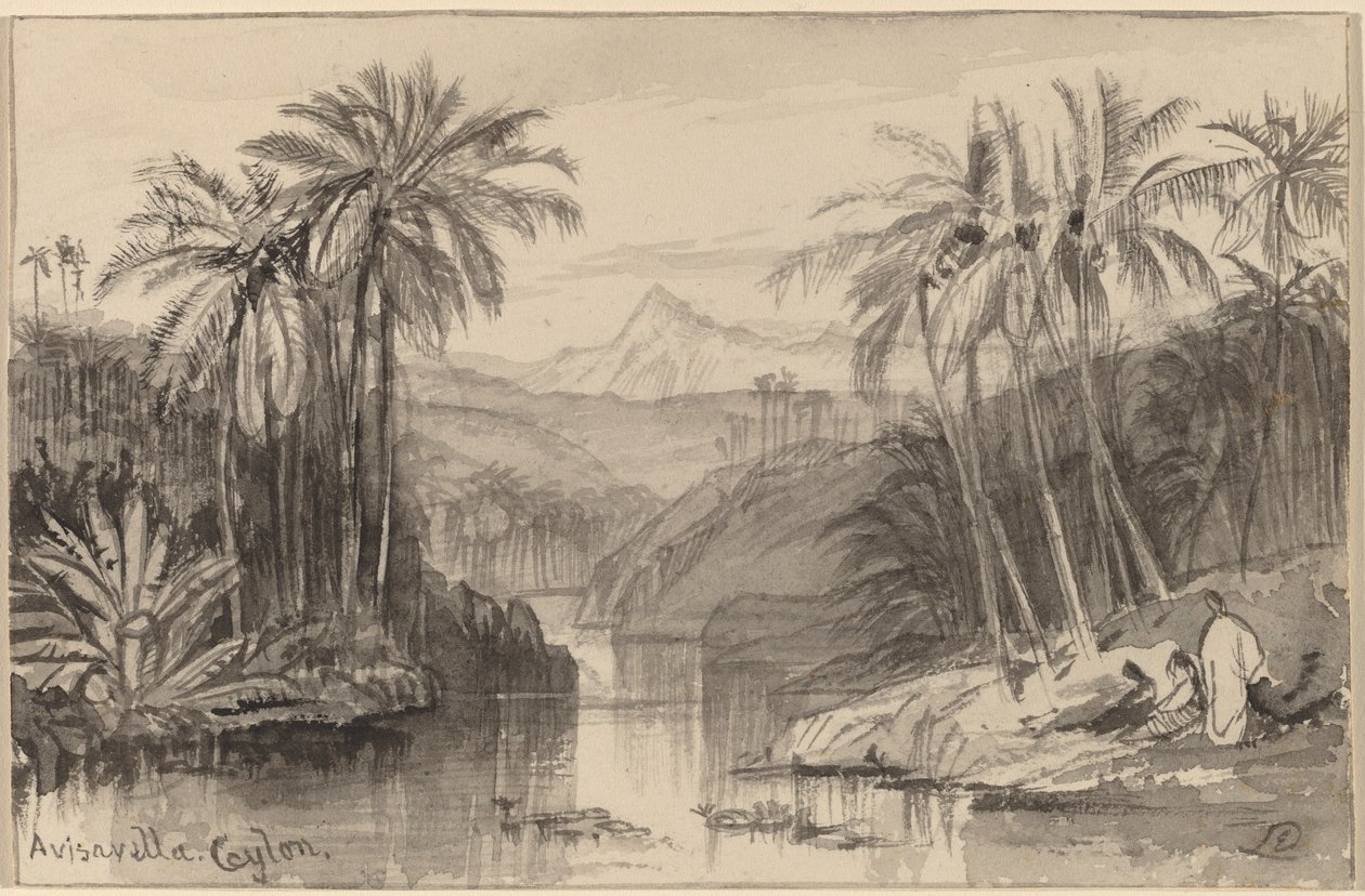 Avisavella, Ceilão de Edward Lear