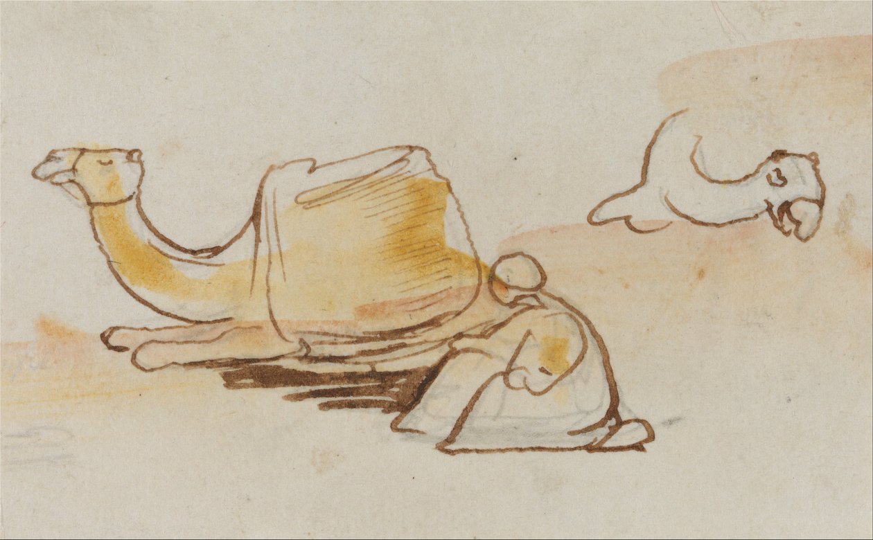 Estudos sobre camelos de Edward Lear