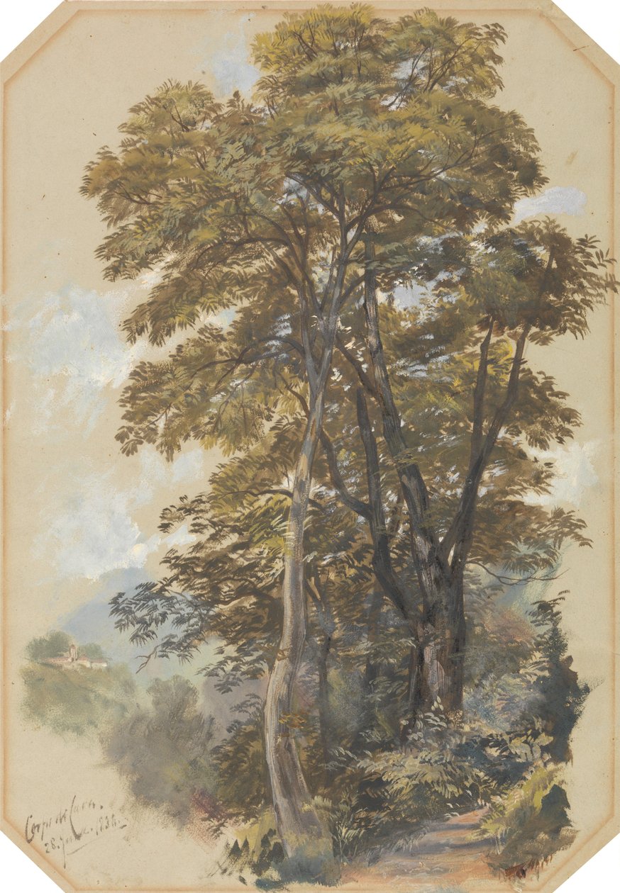 Corpo di Cava, 28 de junho de 1838 de Edward Lear