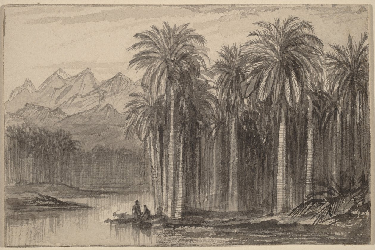 Figuras a partir de um palmeiral em canoas (Wady Feiran) de Edward Lear