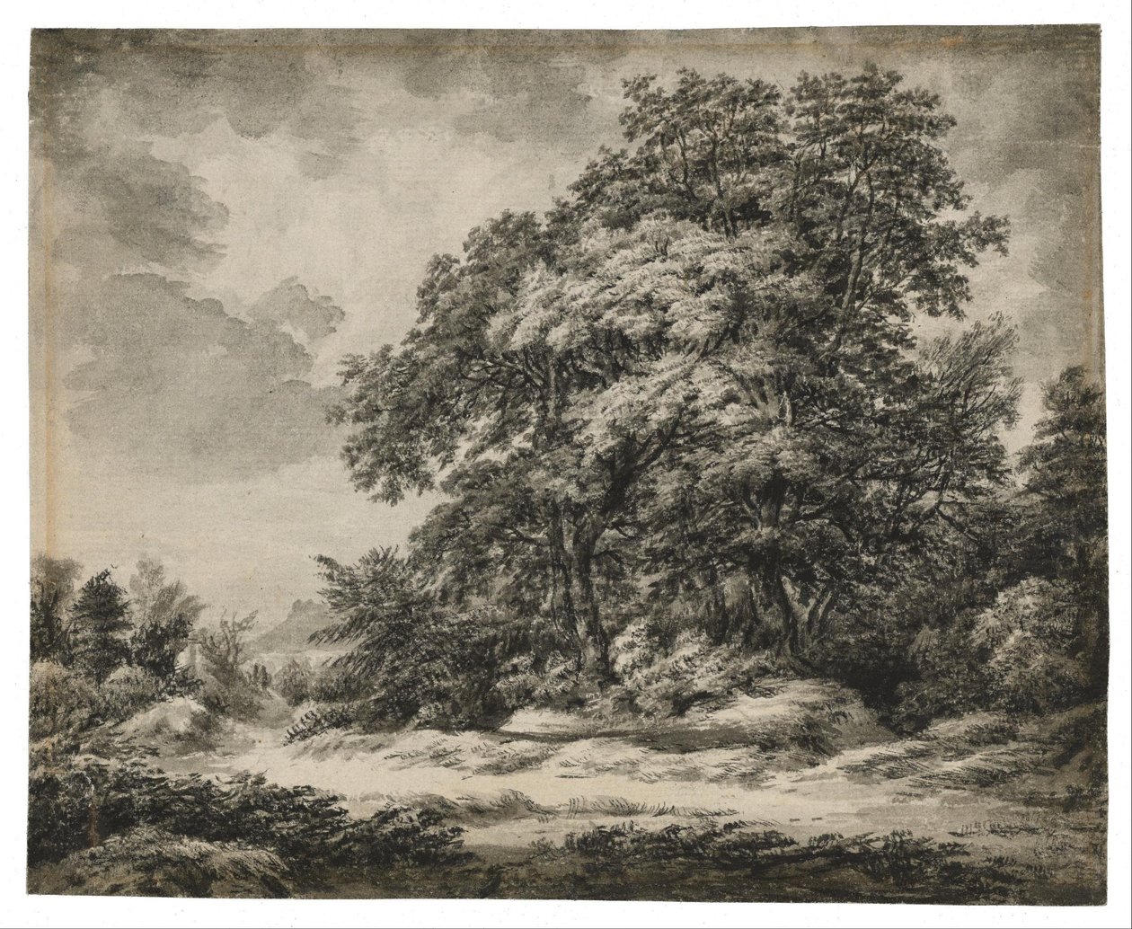 Paisagem florestal de Edward Lear