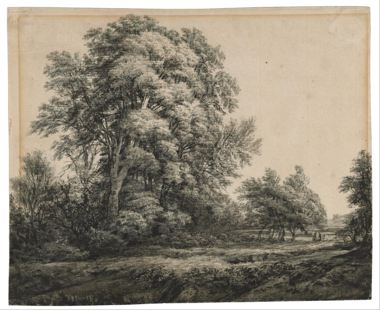 Paisagem florestal de Edward Lear