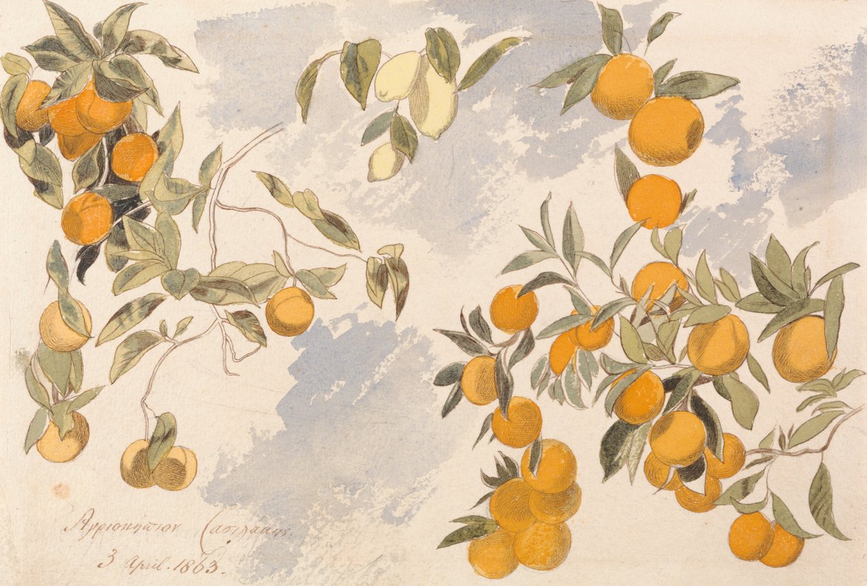 Árvores de fruto, 3 de abril de 1863 de Edward Lear