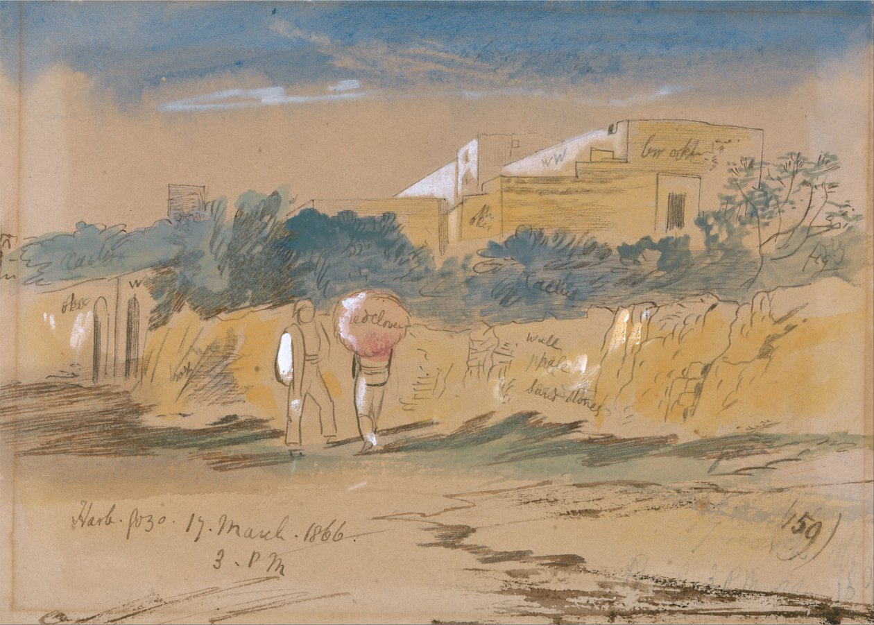 Harb. Gozo de Edward Lear