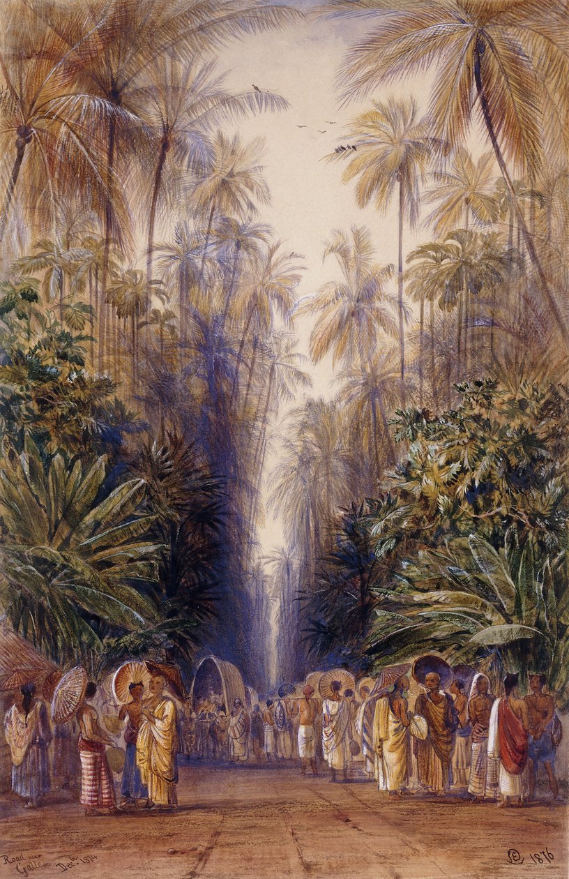 Na estrada para Galle, Ceilão de Edward Lear