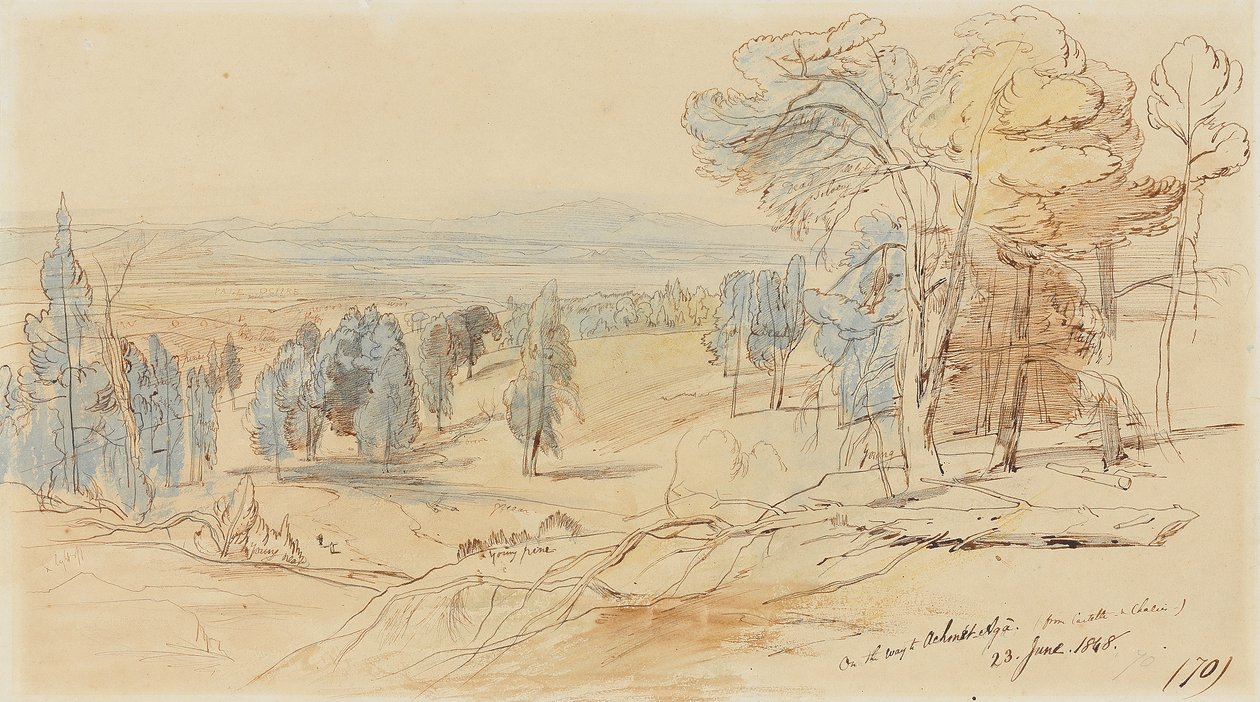 No caminho para Achmet Aga de Castella e Chalcis, Grécia, 23 de junho de 1848 de Edward Lear