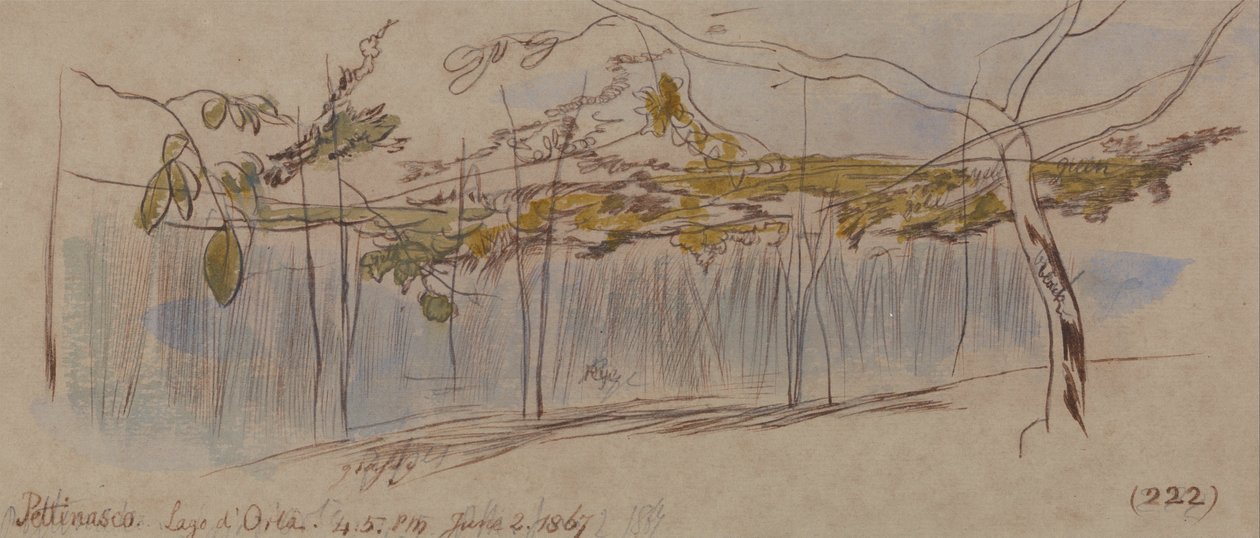 Pettenasco, Lago Orta de Edward Lear