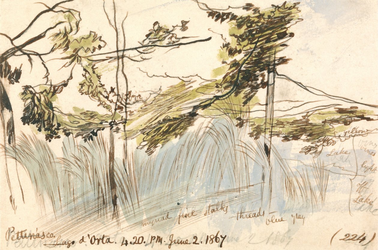 Pettenasco, Lago Orta, 16h20, 2 de junho de 1867 (224) de Edward Lear