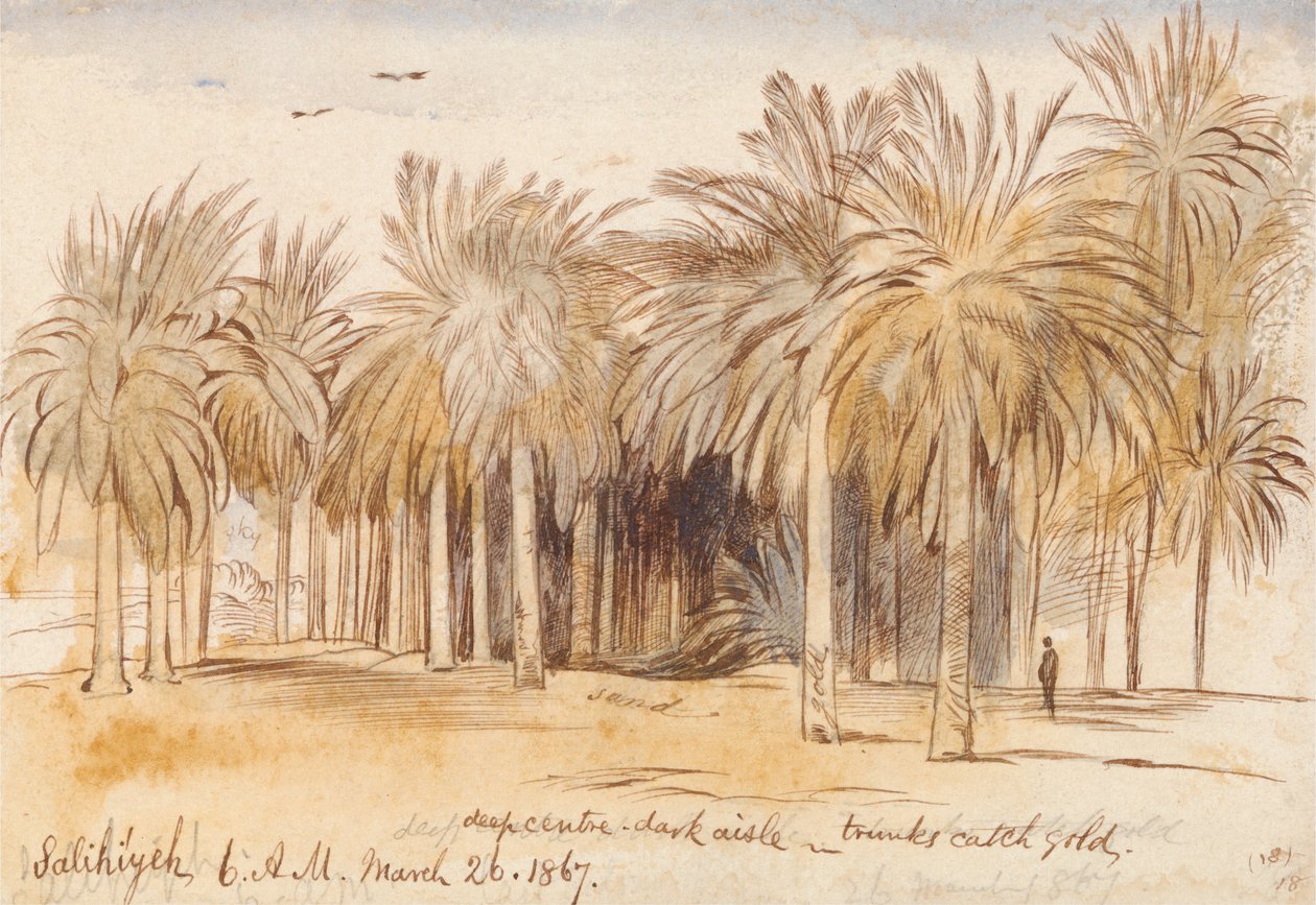 Salahiyeh de Edward Lear