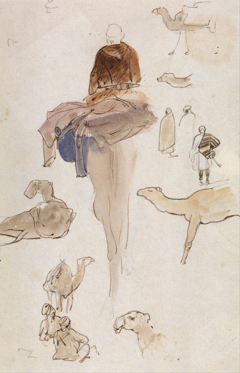 Estudos sobre os camelos de Edward Lear