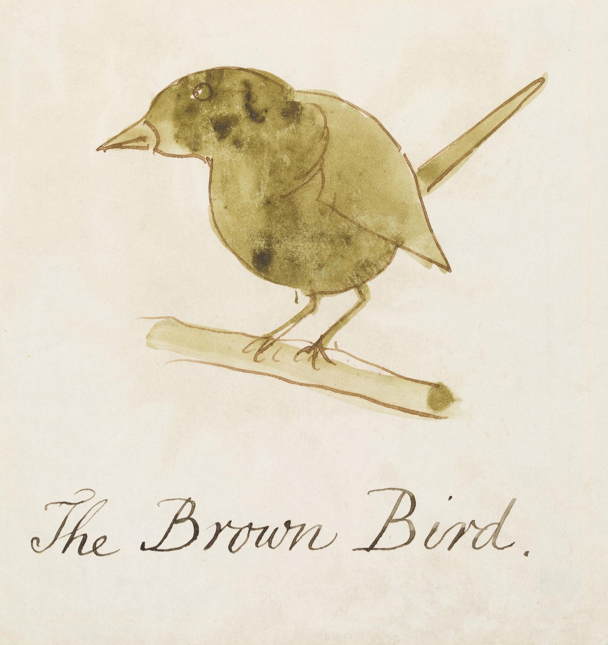 O pássaro marrom, de dezesseis desenhos de pássaros em quadrinhos (caneta e tinta wc no papel) de Edward Lear