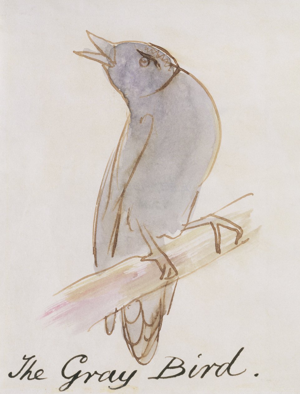 O Pássaro Cinzento, de &39;Dezesseis Desenhos de Pássaros Cómicos&39; (caneta e tinta sobre papel) de Edward Lear