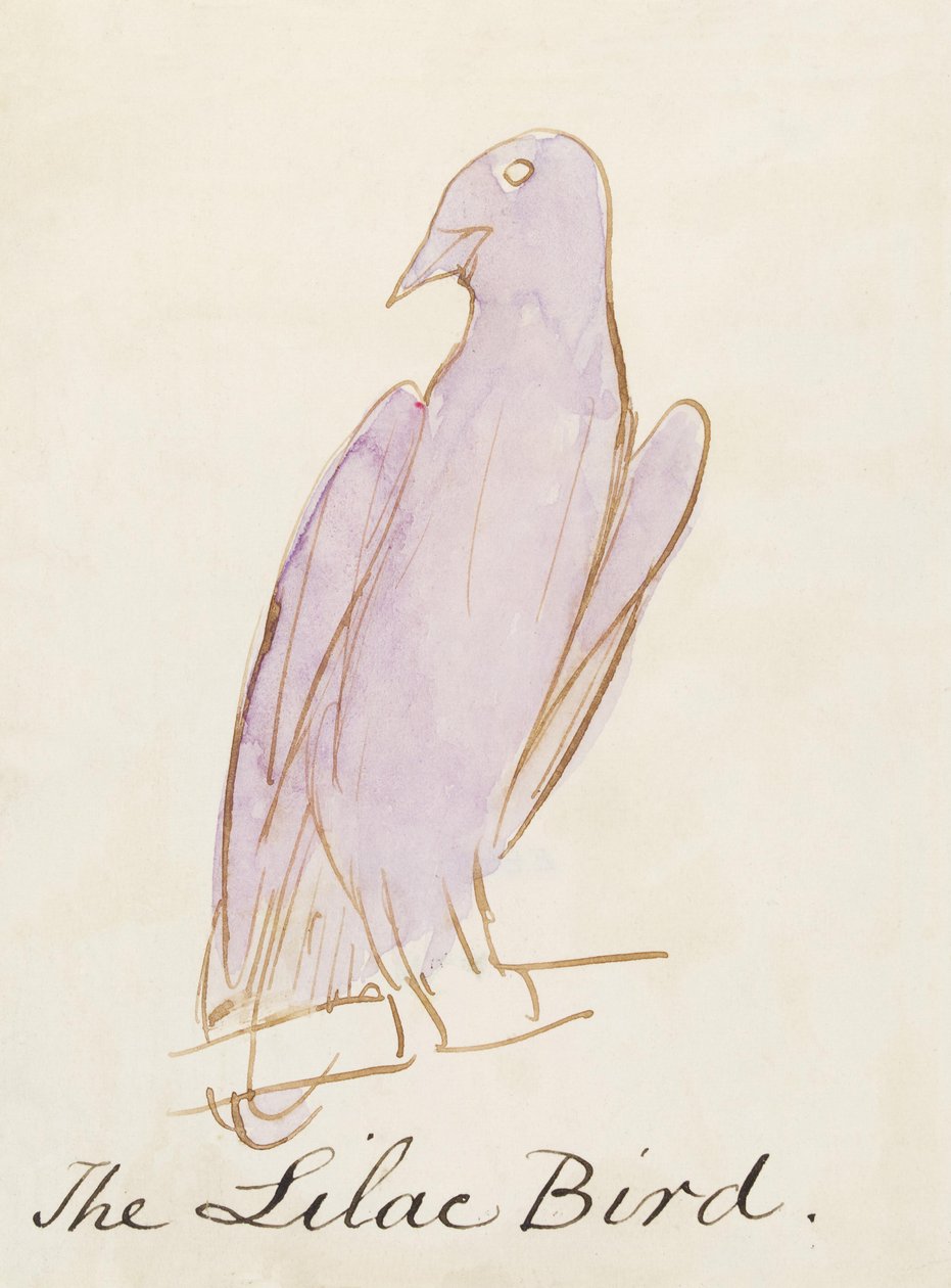 O Pássaro Lilás, dos Dezesseis Desenhos das Aves Comuns (caneta e tinta wc no papel) de Edward Lear