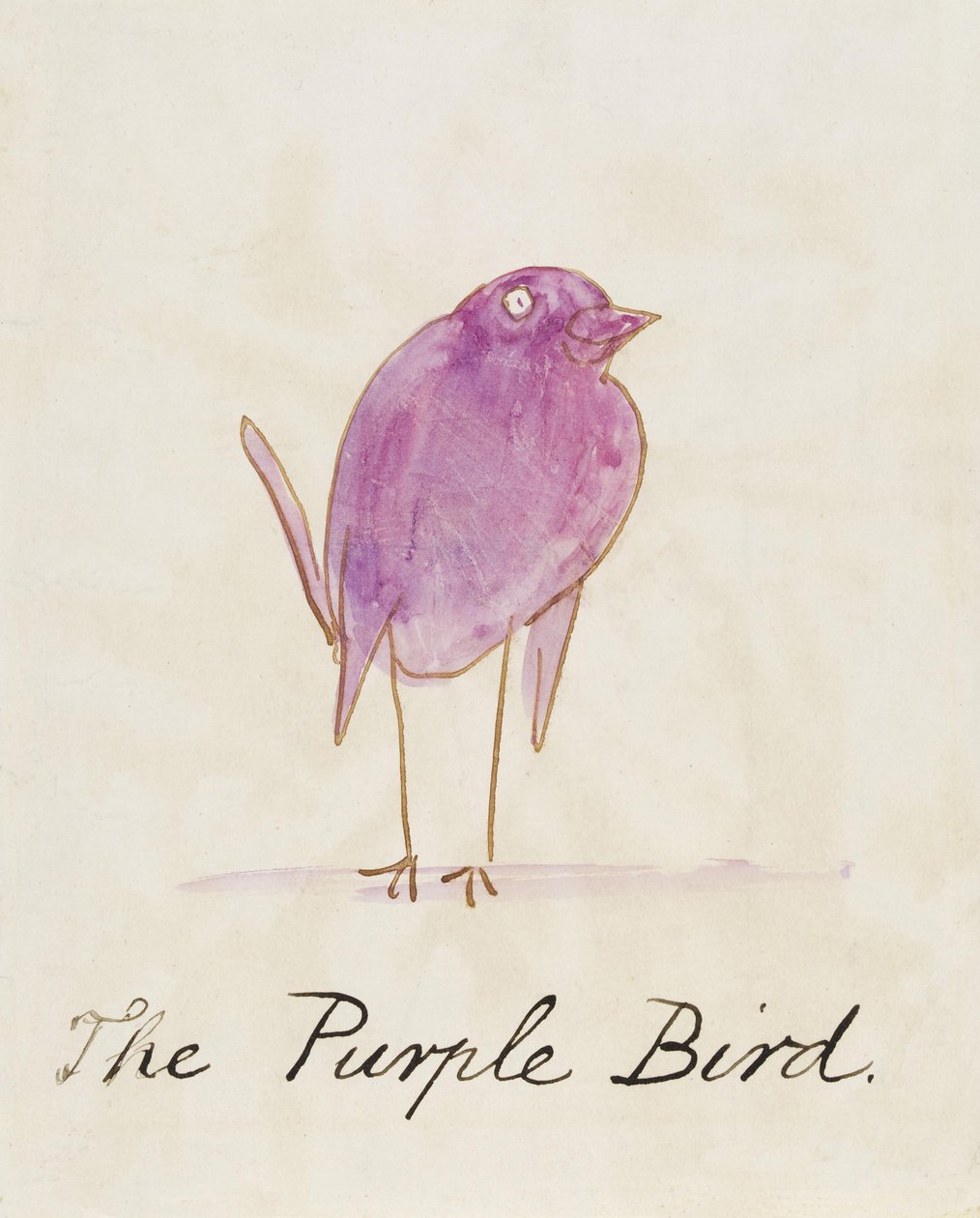 O Pássaro Roxo, de "Dezesseis Desenhos de Pássaros Comic" de Edward Lear